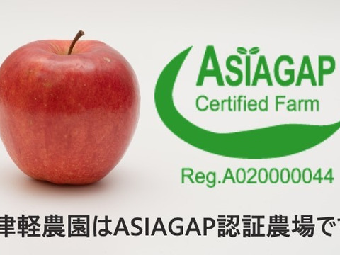 トキ　5㎏13～20玉【ASIAGAP認証農場：津軽農園】9月中旬頃収穫　青森りんご　農家直送