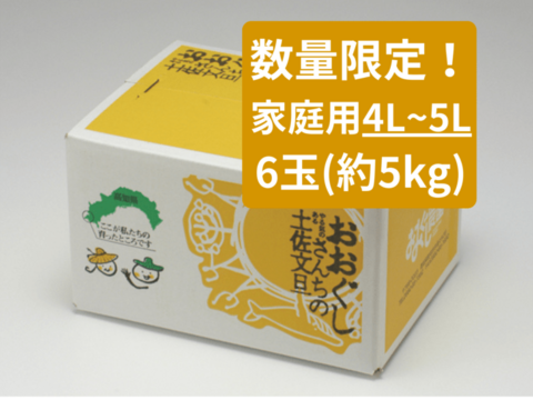 【土佐文旦家庭用大玉6玉4-5L】数量限定！日本で一番みかんと暮らしてる私たちにお任せください！