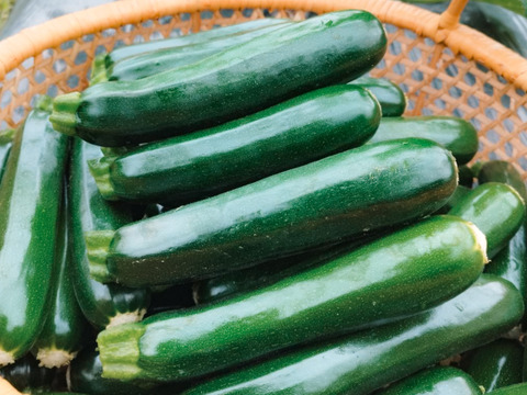 【京都産】ズッキーニ約1kg(4〜6本程度)｜農薬・化学肥料・除草剤不使用｜旨みたっぷりジューシーさが自慢の逸品