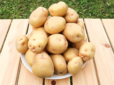 新じゃがいも【キタアカリ】3kg/箱　アルギット農法