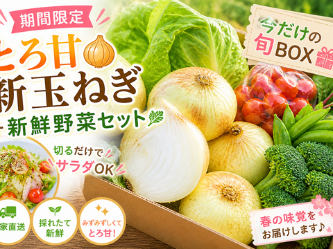 【期間限定】とろ甘新玉ねぎ🧅＋新鮮野菜セット🥗切るだけサラダOK🥬🥦｜今だけの旬BOX🎁