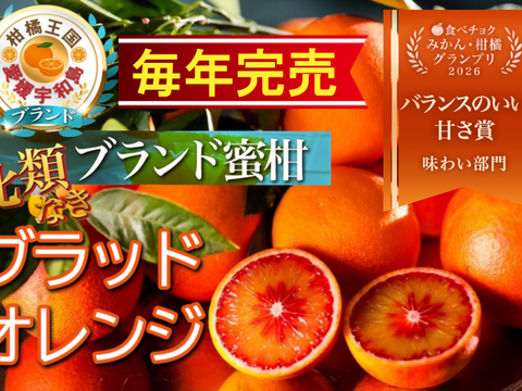 【食べチョクグランプリ受賞】見つけたら超ラッキー『幻の生ブラッドオレンジ』国産やみつきリピーター続出🍊傾斜35度の崖上で収穫される希少な宇和島ブランドみかん☆お得キャンペーン約3kg【4月上旬予約】