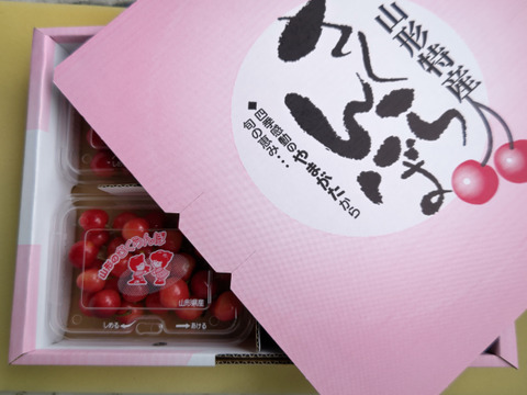 佐藤錦　秀以上　L以上　200g x 4