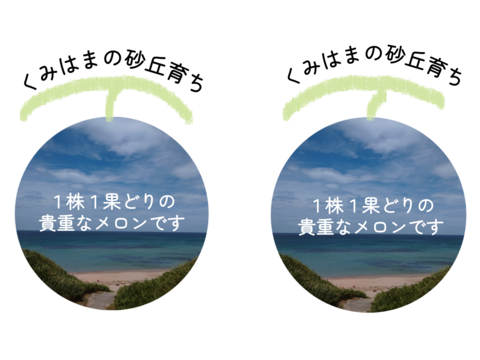 【食べ頃】砂地育ちの１実メロン Mサイズ １玉入り (受付８月４日まで)
