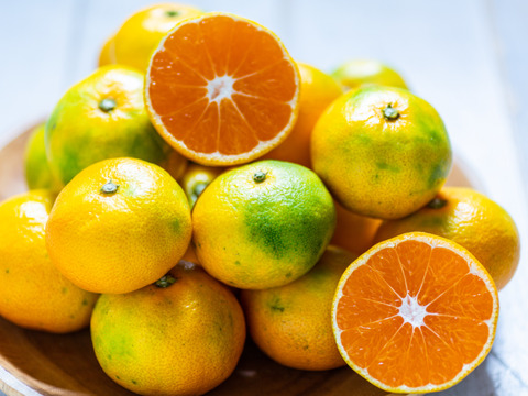 【10/25 終了】温州みかん食べ比べ便 〜みかんは食べチョク〜