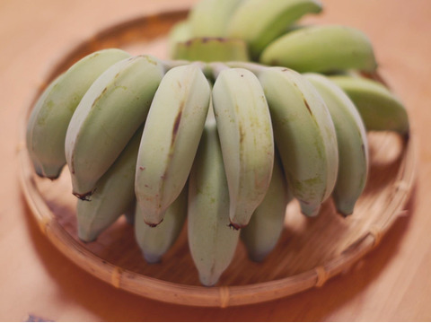 予約販売2ヶ月〔自然栽培〕ナムワ系バナナ6kg カニステル2kg