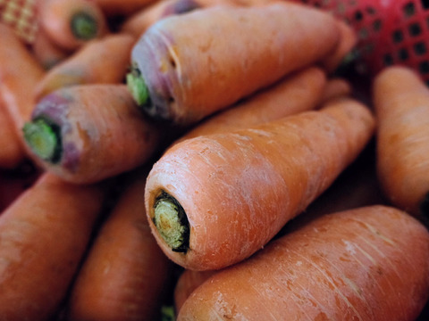 香りが濃い～🥕皮ごと食べたい
訳アリ有機人参 宮崎県綾町産(ご家庭用 箱込5kg)