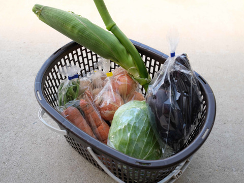【農薬不使用】夏の高原野菜セット Mサイズ【6~7品目】
