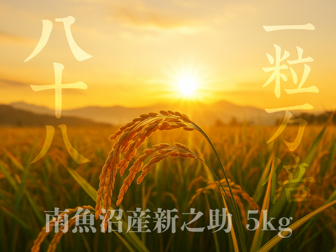 【ゲン担ぎ福袋】南魚沼塩沢産（新之助5ｋｇ）