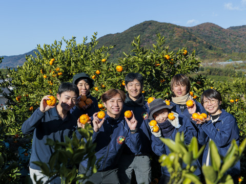 陽だまりファーム 三ヶ日青島みかんジュース ストレート100％ 720ml 3本セット　スクリューキャップ