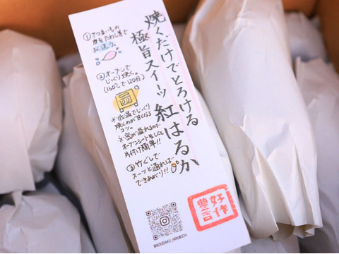 【熟成さつまいも2種】びわ湖の砂地が育むとびきり甘いこだわりの種類別蜜たっぷりのさつまいもを食べ比べ✨〈厳選〉紅はるか・安納黄金（4kg）🍠🍯ギフト、プレゼントにも大人気🎁熨斗承ります。