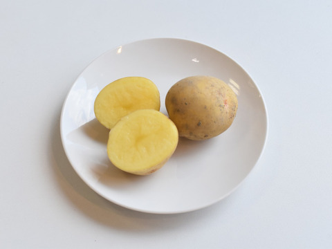 和らぎ農法　じゃがいも　春じゃがキタアカリ便（約2.5kg）
