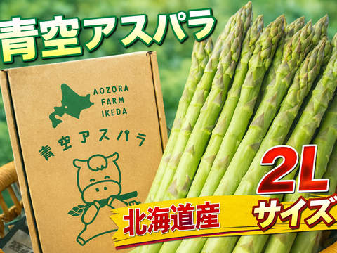 【数量限定】2026年北海道産！ここでしか出会えない青空ファーム池田の青空アスパラ(2Lサイズ/1kg)