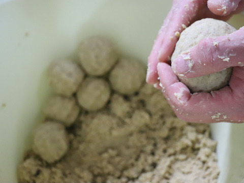 ◎自然栽培◎くるみ豆 30kg《令和6年・山形県鶴岡産》