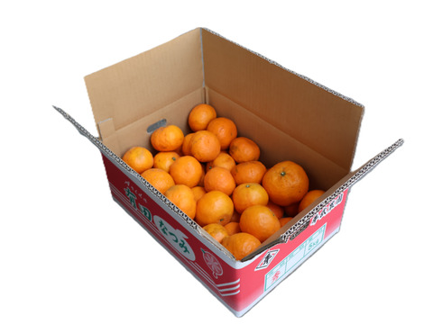 農家直送！なつみオレンジ　無選別5kg ≪秀品・訳あり品・サイズ混合≫ 〜蛍飛ぶ町から旬の便り〜　和歌山｜有田｜田口｜ギフト