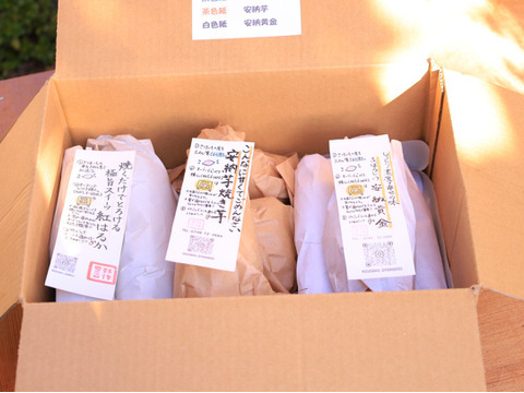 【熟成さつまいも3種食べ比べ】種類別の蜜たっぷりの焼き芋を贅沢に楽しめる〈厳選〉安納芋・紅はるか・安納黄金（3kg）🍠🍯ひとつひとつ紙に包んでお届けでプレゼントにも大人気🎁✨熨斗承ります！