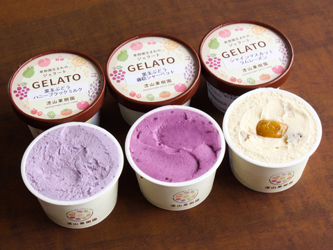 【ふるさとギフト大賞最高賞】ギフトに◎果樹園生まれの3種のぶどうジェラート