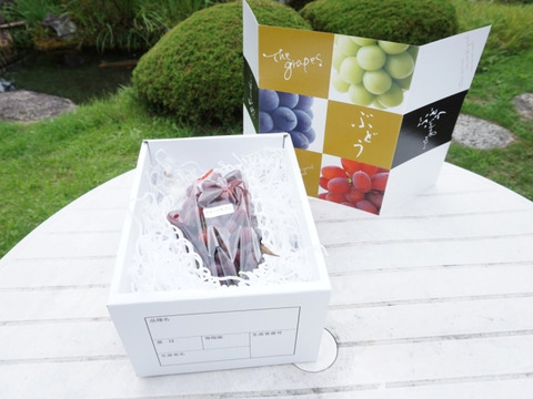 平井利右衛門の赤ぶどう(クイーンセブン/1房)