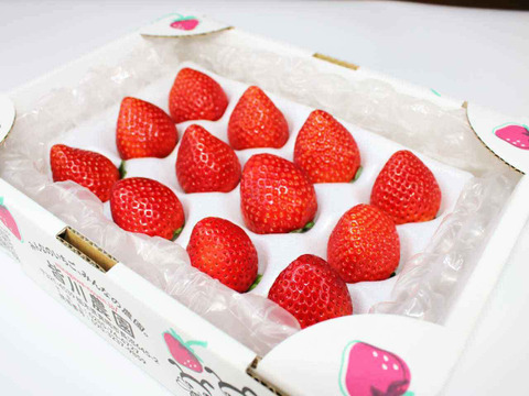 (1P)約280g【いちご・とちあいか】安心新パッケージ★甘さ増量●栃木県産いちご●お届け日指定可