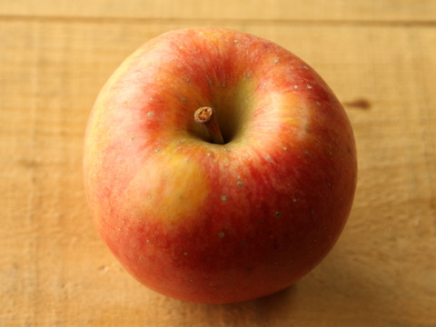 【完売】こうとく (高徳) 蜜がたっぷり甘いりんご 2.5kg (8～12個)
