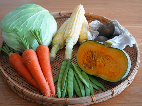 【秋の野菜セット】標高1100M・六合の伝統野菜や幻の419キャベツ計7種