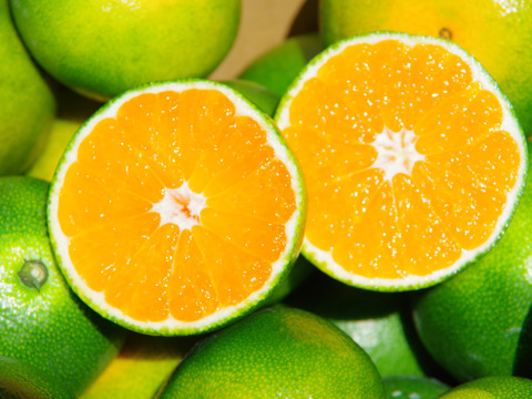 日下農園【ゆら早生】サイズ混合5㎏