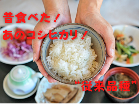 土日限定 20%割引!本当のコシヒカリ!新潟県妙高産 コシヒカリ【白米・5分詰合せ】従来品種!*1セット(約3合: 450g✕2袋 合計900g)通常¥2500 → ¥2000 < 全国一律送料 >