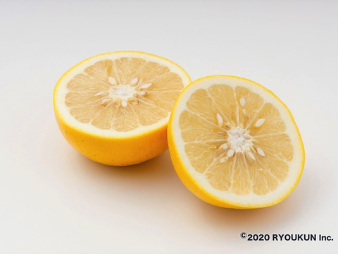 【柑橘食べ比べ】国産グレープフルーツ(白３玉＋ピンク２玉）
