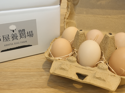 【品質検査済み】兵庫県芦屋産 放飼い烏骨鶏の有精卵『ラン・デリッチ』　６個入 ■クール便配送■【冬ギフト】