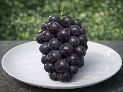 黒いシャインマスカット『希少品種』KOSHUマスカット・ノワール1㎏セット（500～600g×2房程度）