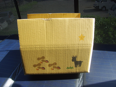 【農薬化学肥料栽培期間中不使用】🐞生落花生おおまさり＊2㎏＊2025年9月下旬より限定販売🥜今年の分は終わりました