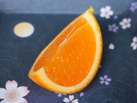 【味に自信あり】『ご家庭用』○まる美の果汁たっぷり完熟清見オレンジ5kg（トラ）