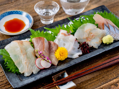 【福袋2025】醤油漬け4種（サクラマス、ホッケ、ヒラメ、サバ）と切れてる刺身5種（3D冷凍）