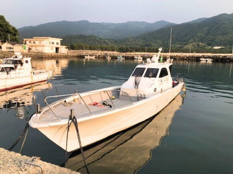 【24.8.2倉庫入れ】おさかなセット 5キロ 朝どれ鮮魚 詰め合わせ