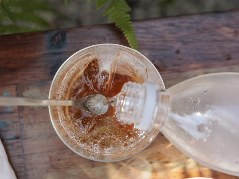 暑い夏を乗り切ろう！クエン酸たっぷり 梅シロップ  4倍希釈時25%うめ果汁入り飲料 （550ml×1本）栽培期間中農薬不使用