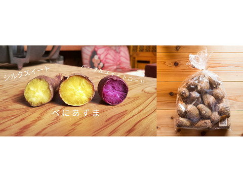さつまいも3種と里芋のリクエストセットI✨
