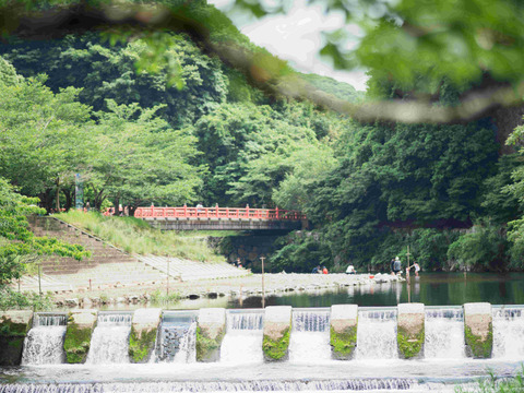沢山のご要望に応えた大容量商品！白宝らっきょう酢漬け９０ｇ×１４Ｐ