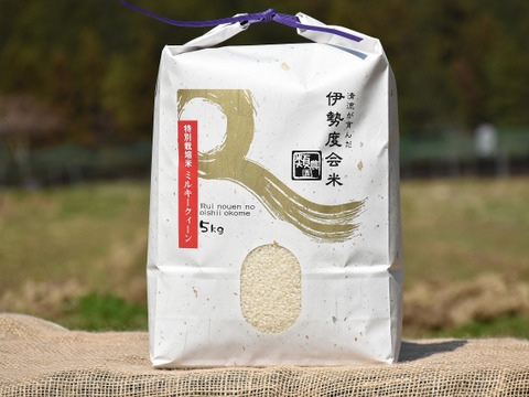 【新米!】特別栽培米ミルキークィーン5kg☆ほんのり甘みとモチモチ食感☆冷めても美味しい☆おにぎり・お弁当にピッタリ♪