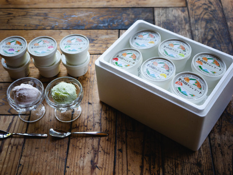 新発売　果樹園のジェラート『杉山農園おすすめセット』１２個入り