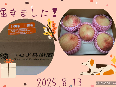 【朝どれ】（訳あり商品）糖度15度以上！　硬い桃　1.5～2.0kg（4-8玉）