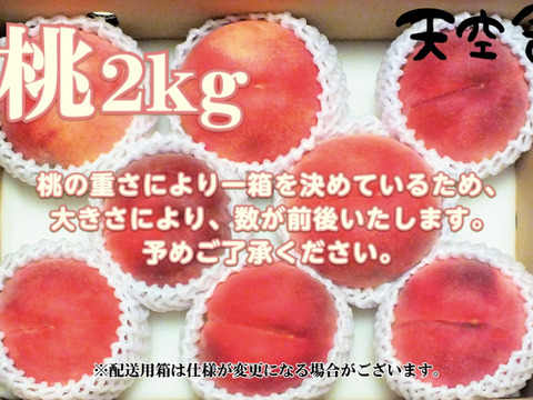 【夏のギフト・７月下旬】かたい桃「おどろき」約２kg・６～８玉１箱山梨県笛吹市八代町産