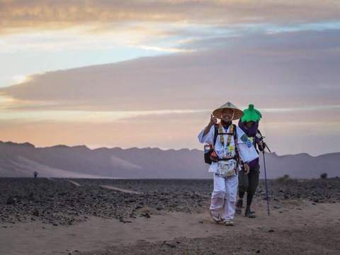 訳あり瀬戸内海の島レモン（農薬・除草剤・化学肥料不使用）1kg