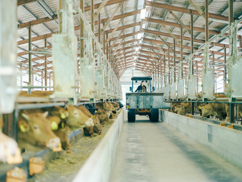 【冬ギフト】熊本県産あか牛「延寿牛」　ローストビーフ300g×１
