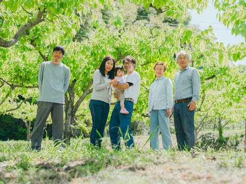 優品プレミアム干柿SHUKU8玉