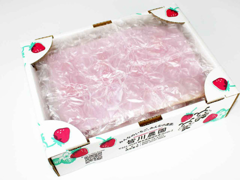 (1P)約280g【いちご・とちあいか】安心新パッケージ★甘さ増量●栃木県産いちご●お届け日指定可