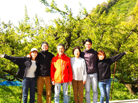 梅シロップや梅酒、カリカリ梅に！　和歌山県みなべ町産『南高梅』青梅【5㎏】大粒（2L,3L）6月上旬から順次発送