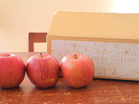 【11月発送】人気No.1！毎日食べたい！サンふじ（家庭用3kg・7~12玉）