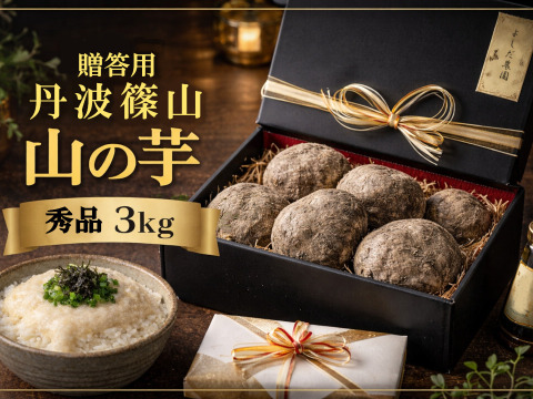 【贈答用・秀品・R8年産 先行予約開始】丹波篠山 山の芋 3kg 箸で持てる粘り とろろご飯が絶品 丹波篠山産 (数量限定セット)  きりいも つくね芋 山芋 栄養満点 とろろ芋 ギフト お歳暮ギフト