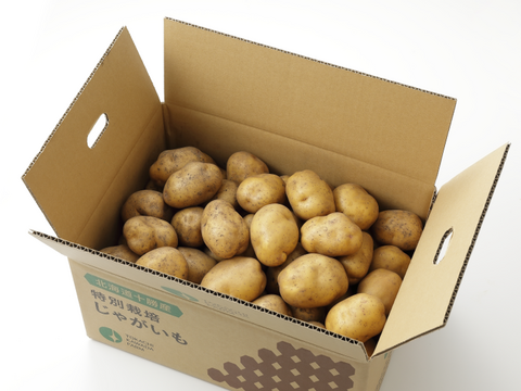値頃 小粒じゃがいも メークイン S 10kg【規格外】：北海道産の 野菜