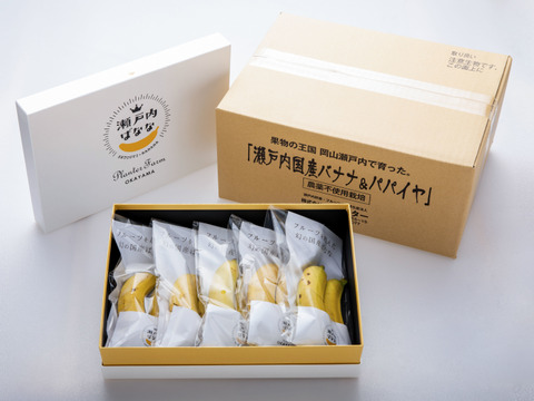 【オリジナルギフトBOX】皮ごと食べられる「瀬戸内ばなな」2本入5pack(計10本)